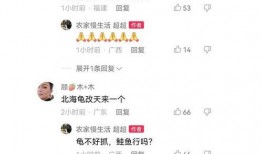 二八最新爆料新闻,揭秘行业黑幕，揭开真相背后的惊人内幕